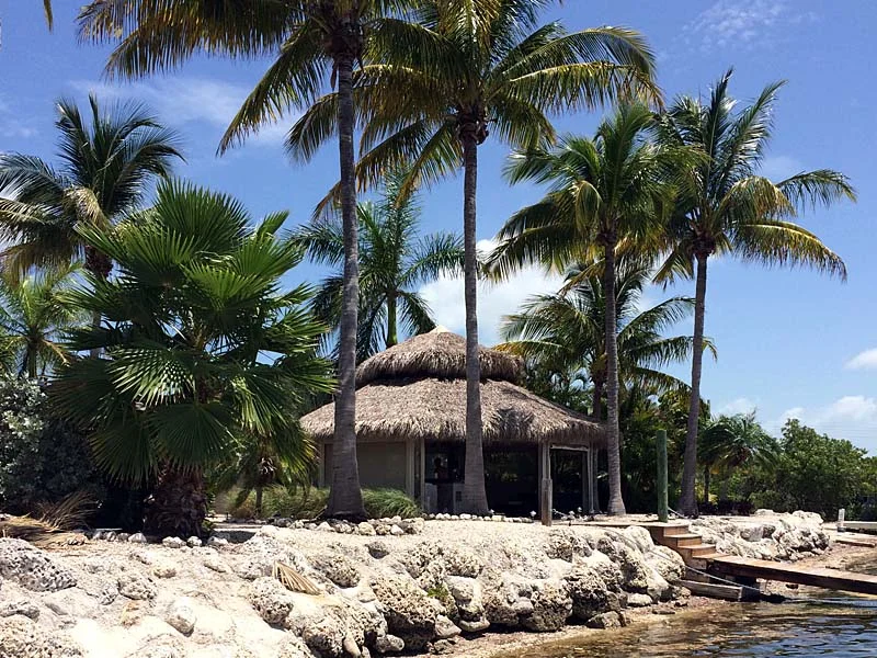 Tiki hut project 67