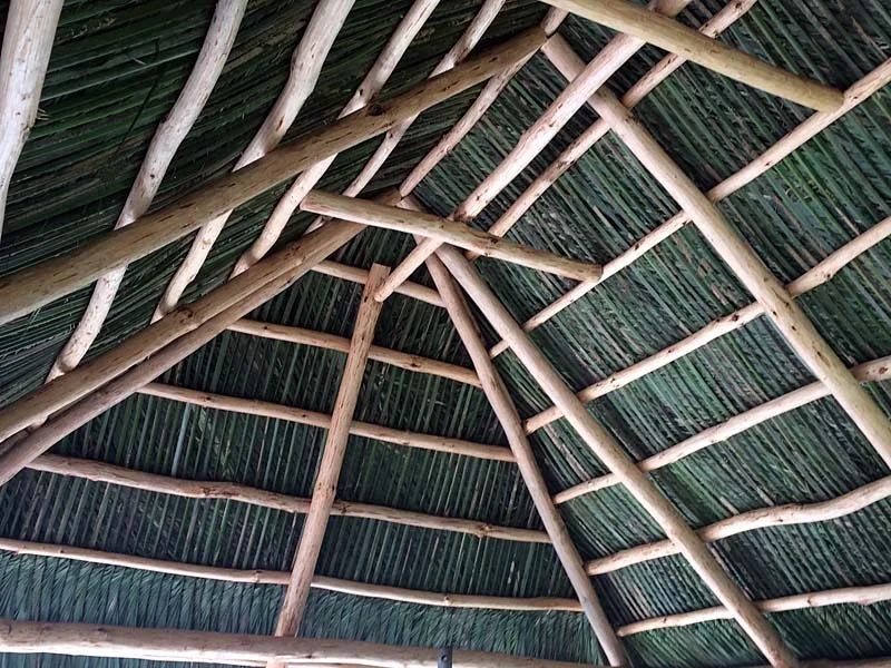 Tiki hut project 69