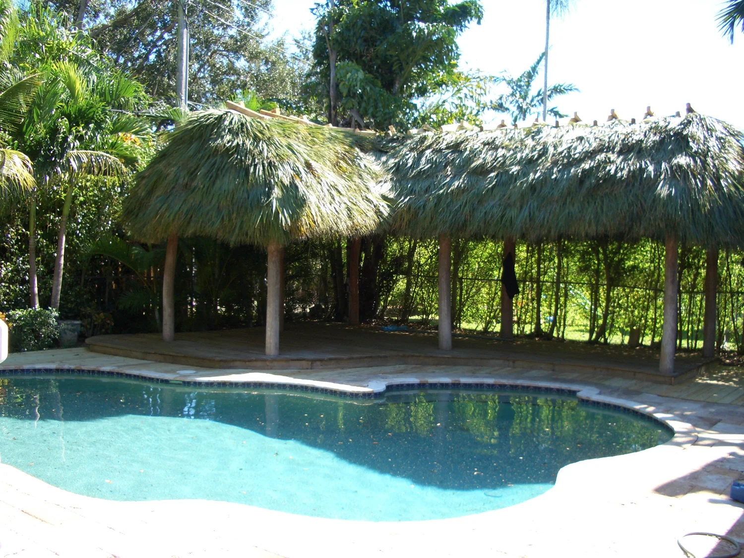 Tiki hut project 77
