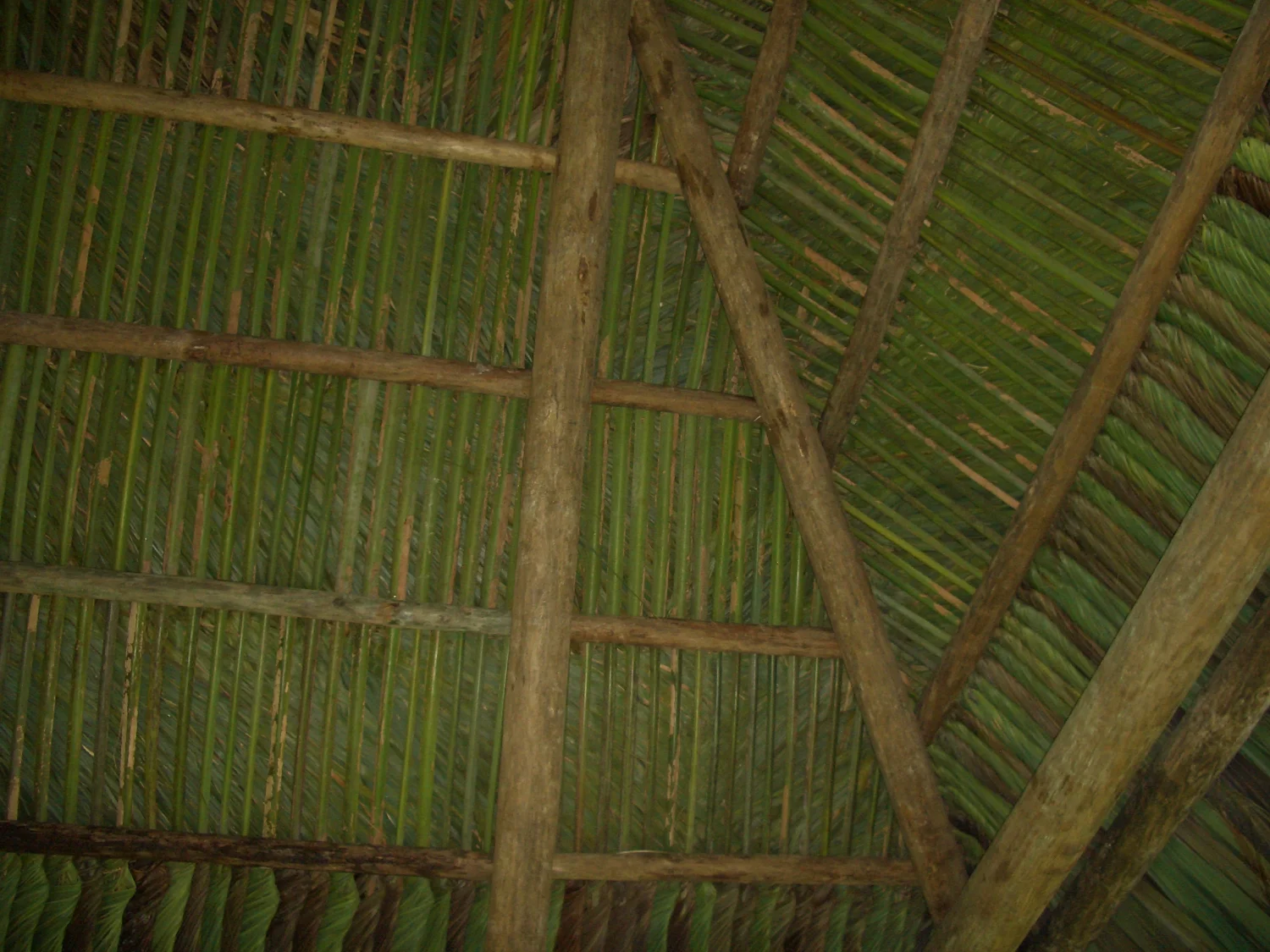 Tiki hut project 90