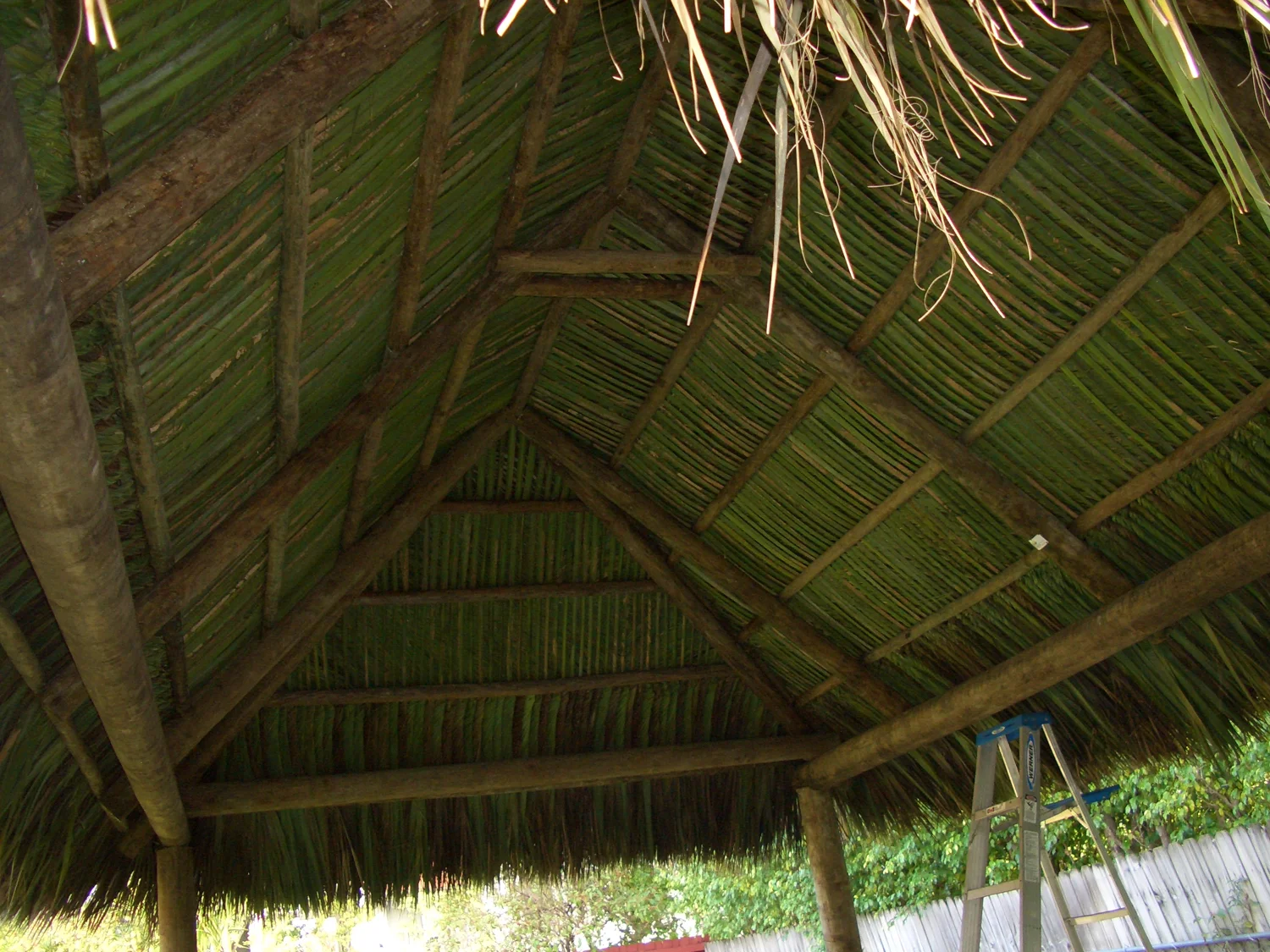 Tiki hut project 91