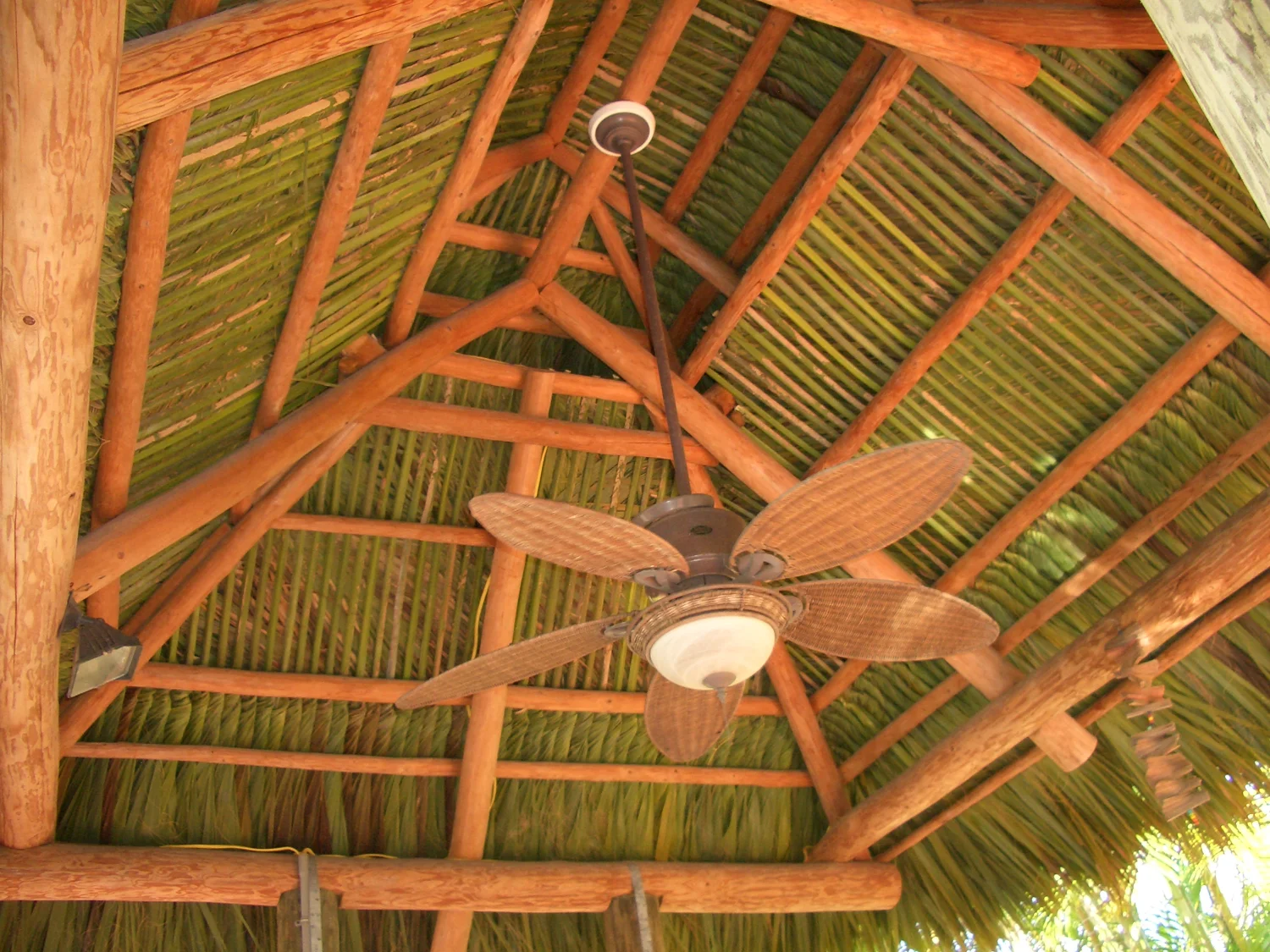 Tiki hut project 99
