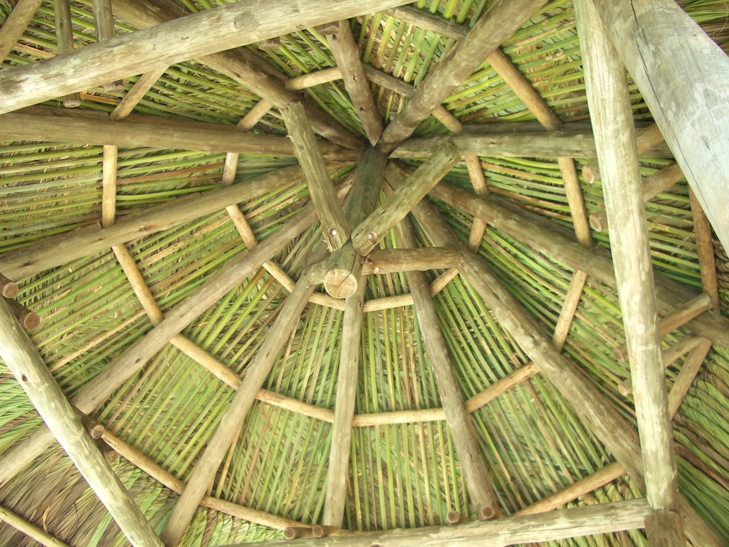 Tiki hut project 102