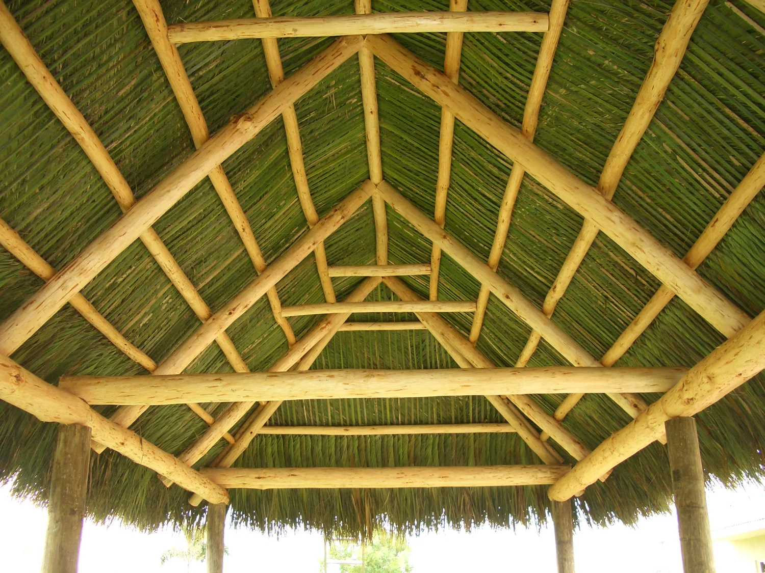 Tiki hut project 124