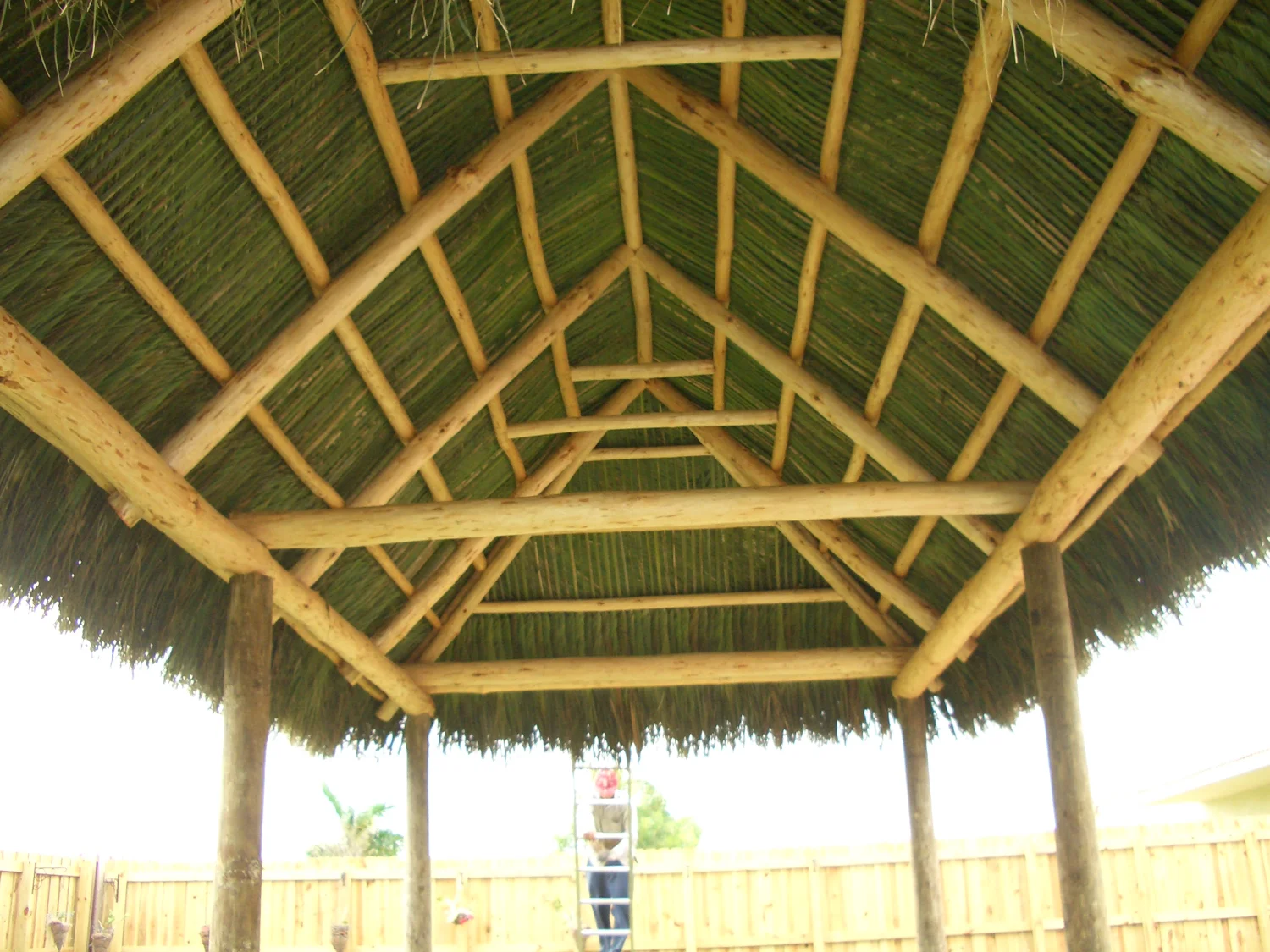 Tiki hut project 126