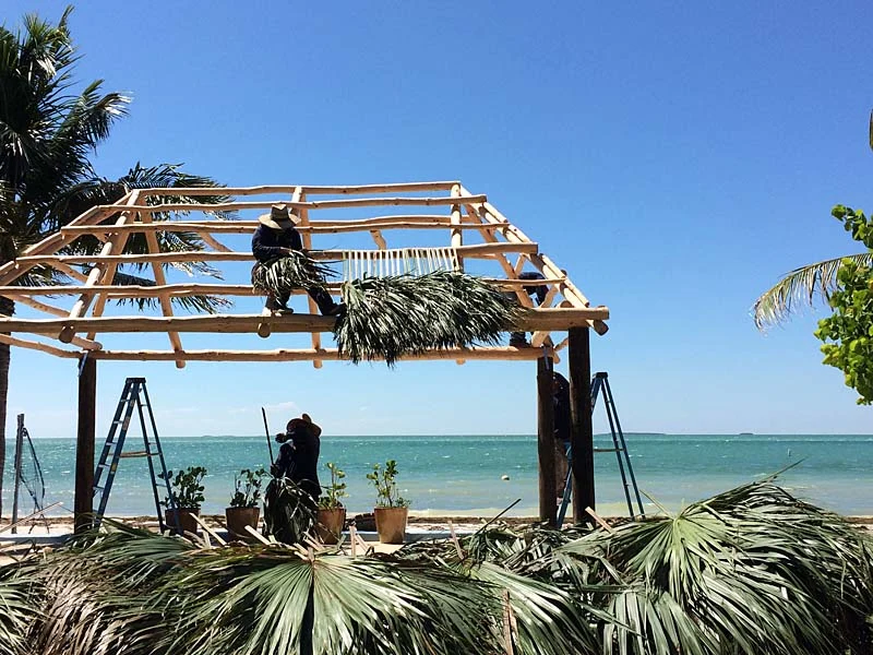 Repair & Re-thatching