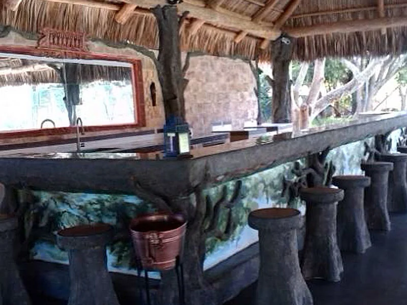 Tiki Hut Bars project photograph