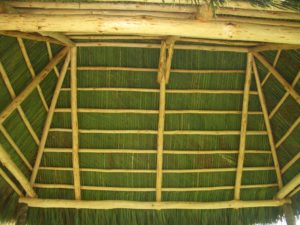 tiki hut green interior roof