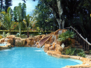tropical theme residential pool backyard